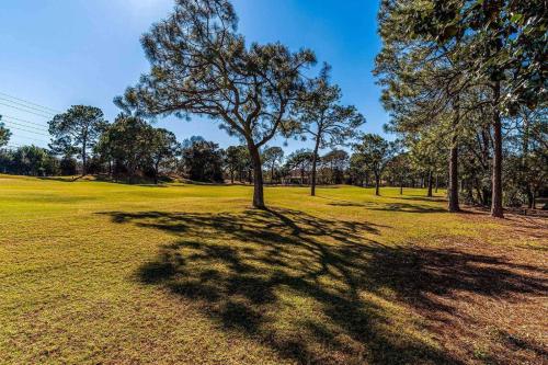 Augusta 552 Sand Dollar Links - photo 34