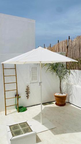 Casa Amanda — 4-Star Luxury Hotel in Olhao, Portugal