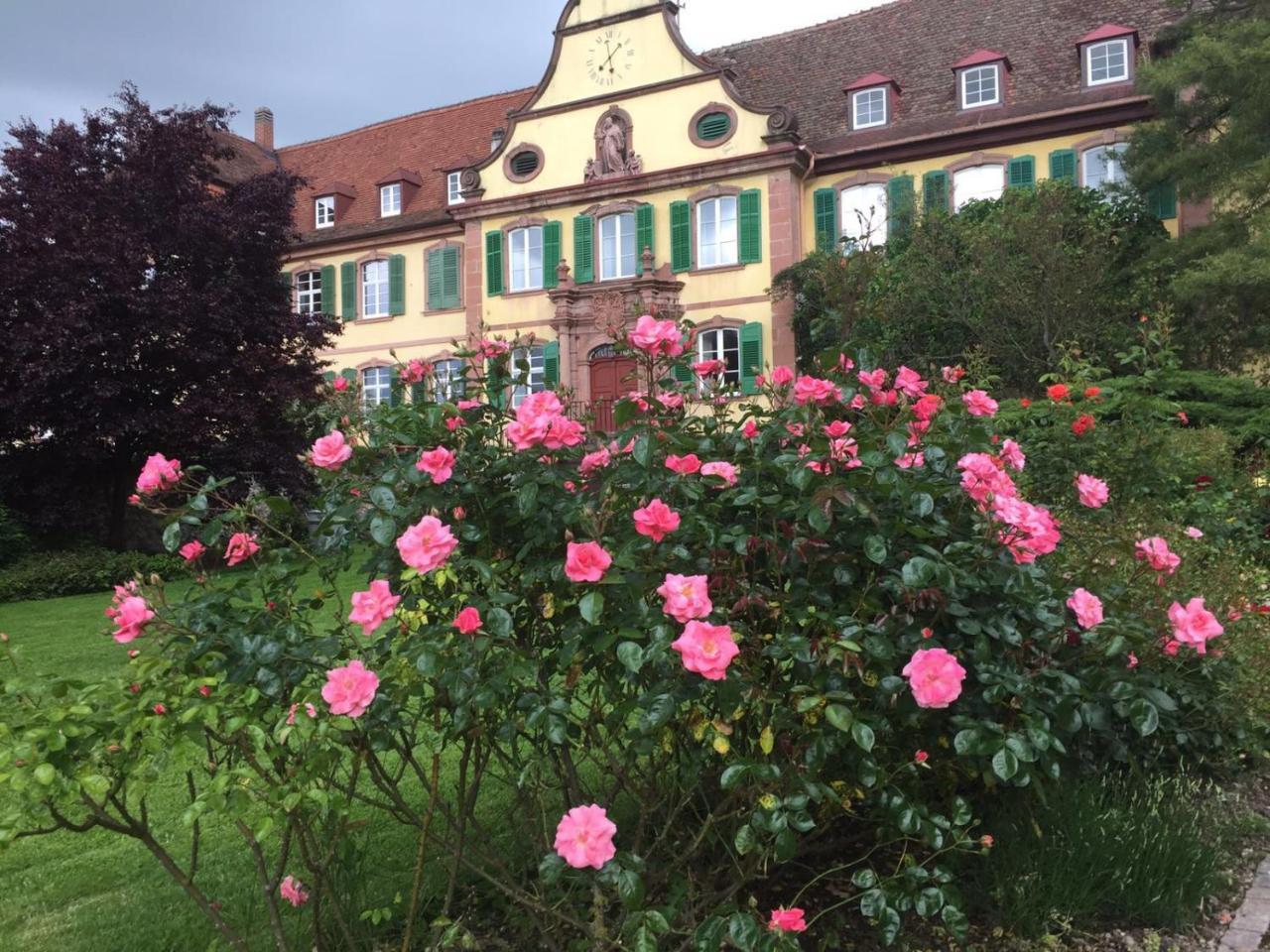 Haus Gisela — Endingen — photo 3