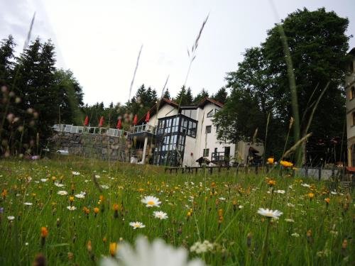 Gastinger Hotel Restaurant — hotel in Schmiedefeld Am Rennsteig
