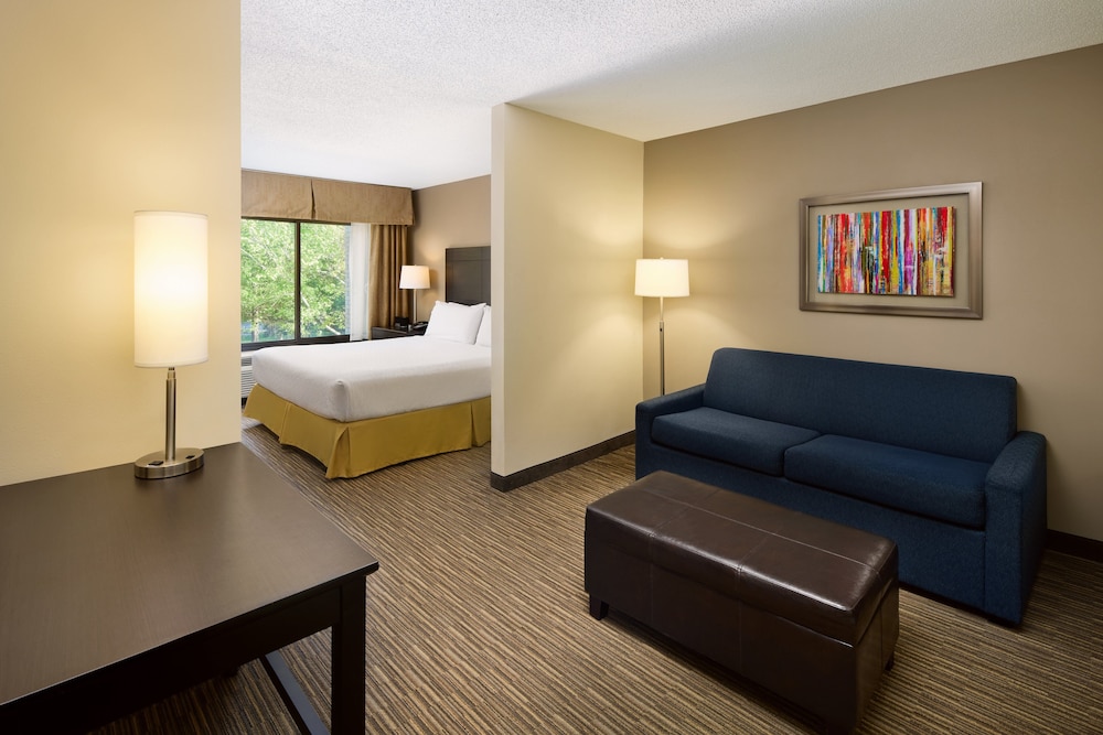 Holiday Inn Express & Suites Alpharetta Windward Parkway by IHG - photo 17