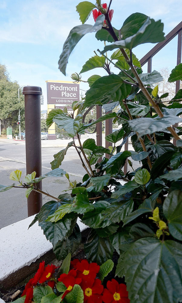 Piedmont Place - photo 41
