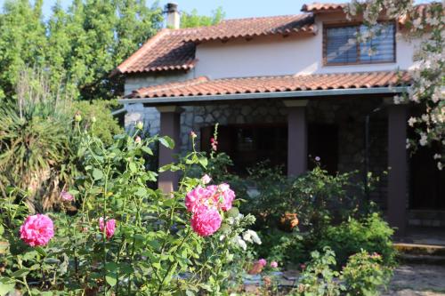 Villa Polytimi — Vonitsa — photo 2