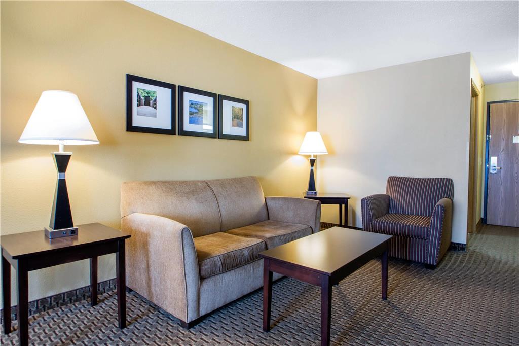 Comfort Suites Wisconsin Dells Area - photo 33