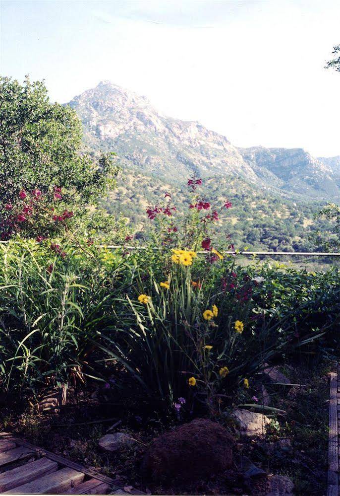 Bellevue Guesthouse - photo 5