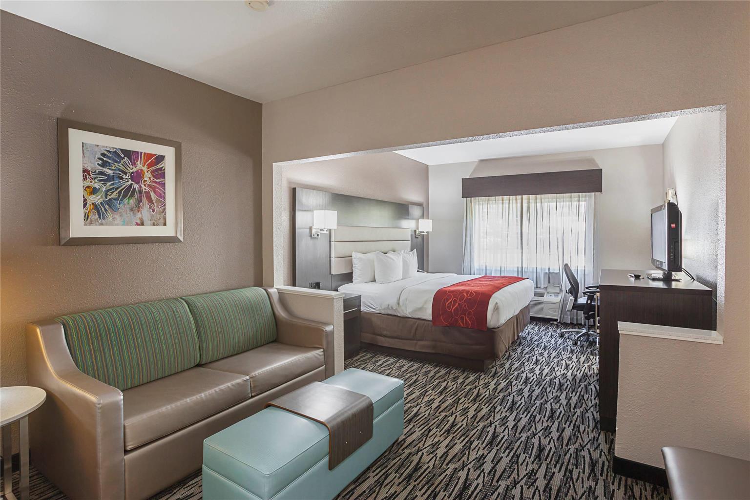 Comfort Suites Lewisville Dallas - photo 10