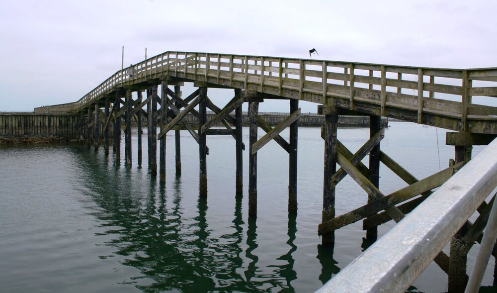 Islander Westport - photo 181