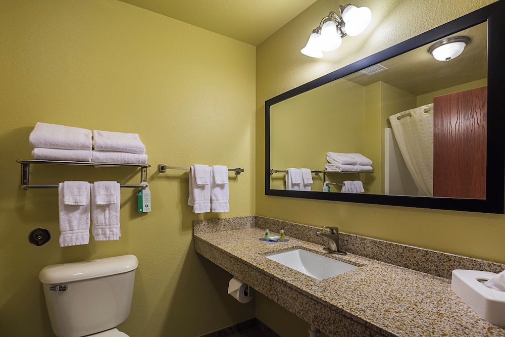 Cobblestone Inn & Suites Altamont - photo 27
