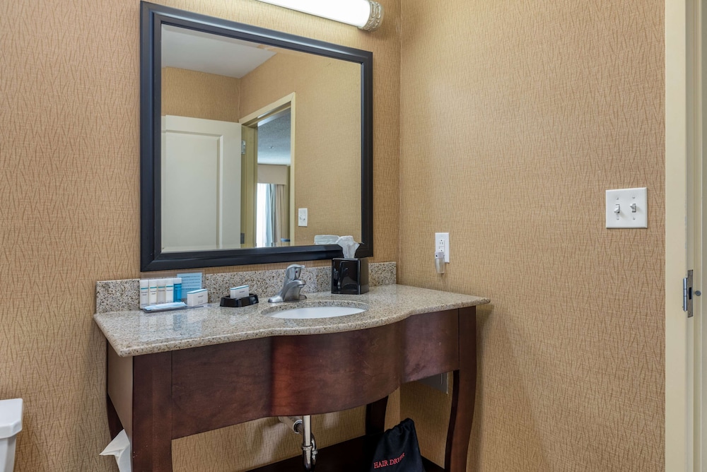 Hampton Inn Owensboro South - photo 28