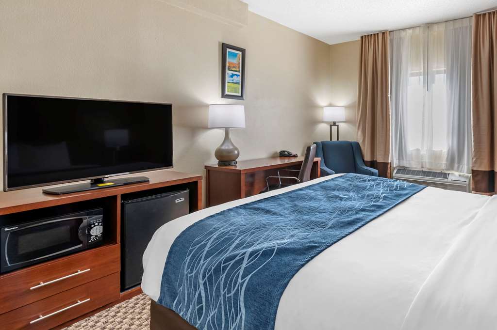 Comfort Inn Near Kokomo Speedway - photo 23