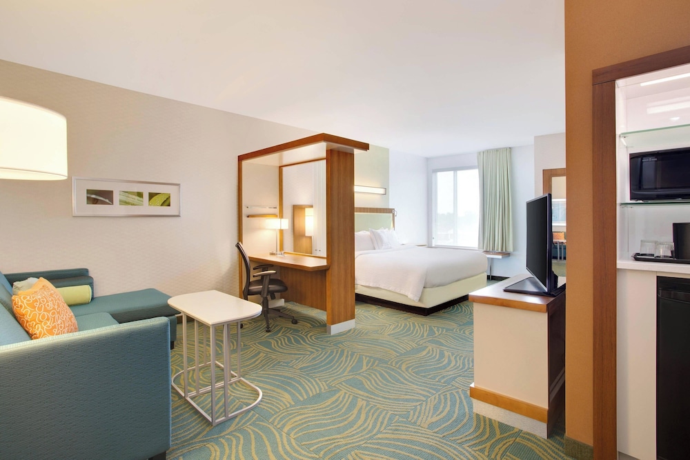 SpringHill Suites by Marriott Murray - photo 7