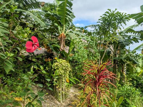 The Overlook in San Vicente, Philippines