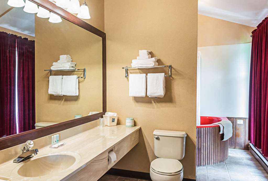 Quality Inn & Suites Frostburg Cumberland - photo 21
