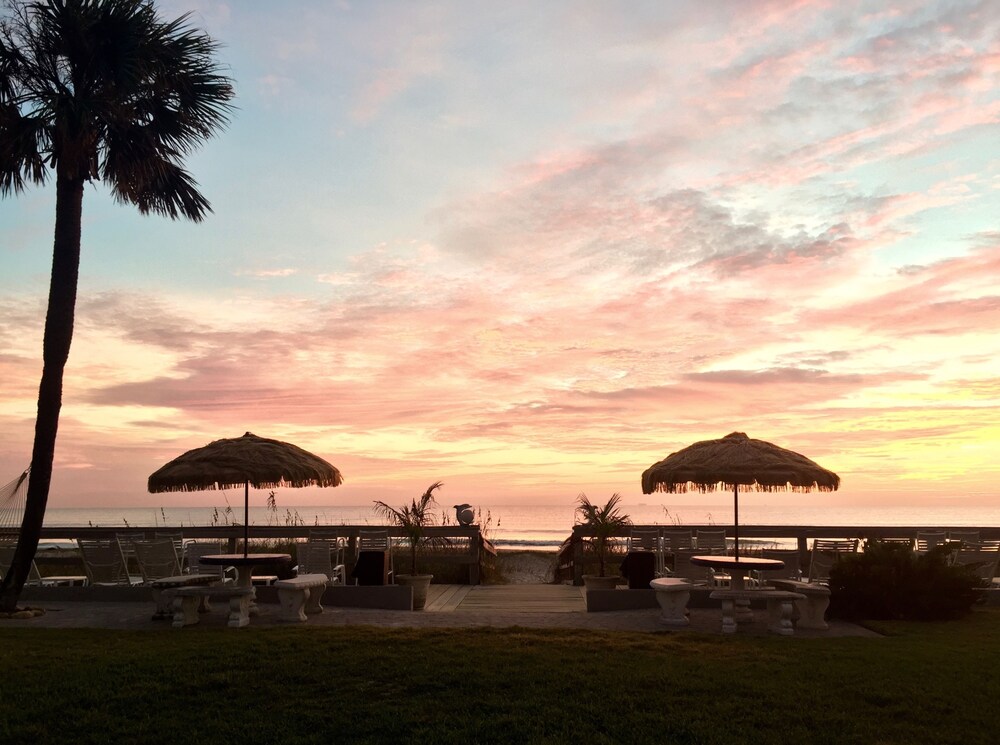 Surf Studio Beach Resort - photo 91