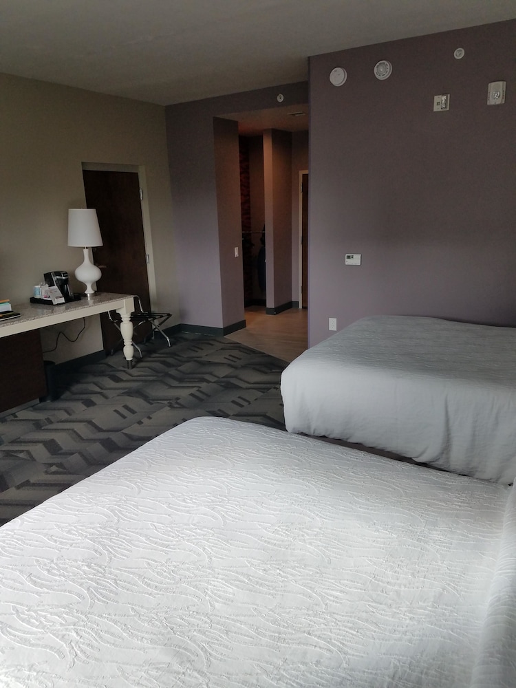 Hilton Garden Inn Tampa Suncoast Parkway - photo 8