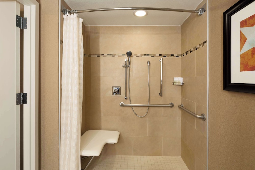 Embassy Suites by Hilton Austin Downtown South Congress - photo 58