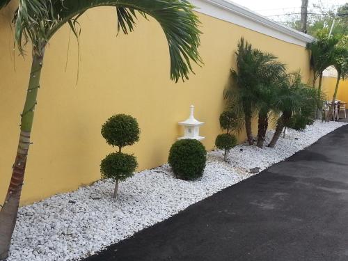 Belvedere Inn - photo 9
