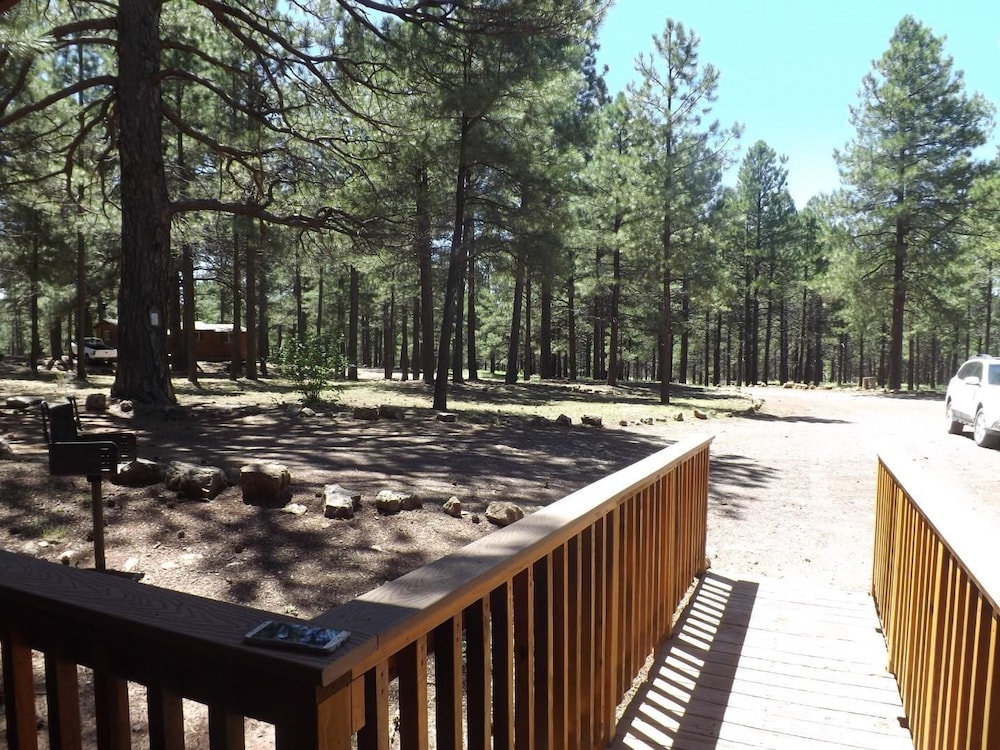 Arizona Mountain Inn and Cabins - photo 163