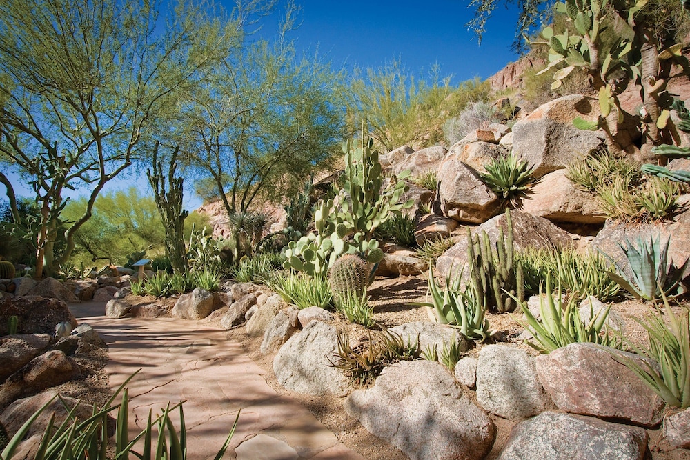 The Canyon Suites at The Phoenician Luxury Collection - photo 144