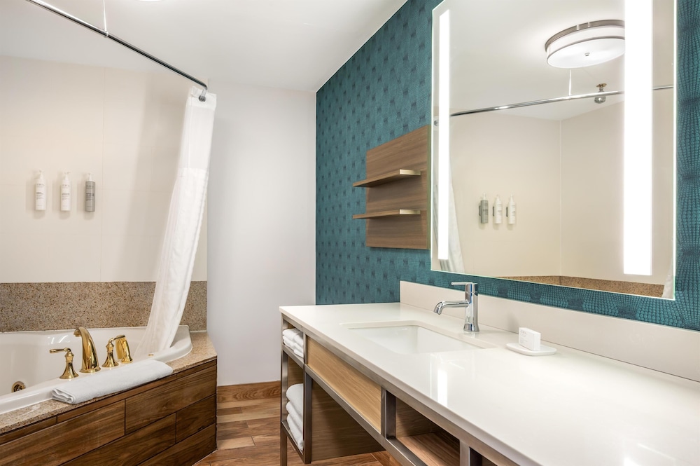 Hilton Garden Inn Wisconsin Dells - photo 89