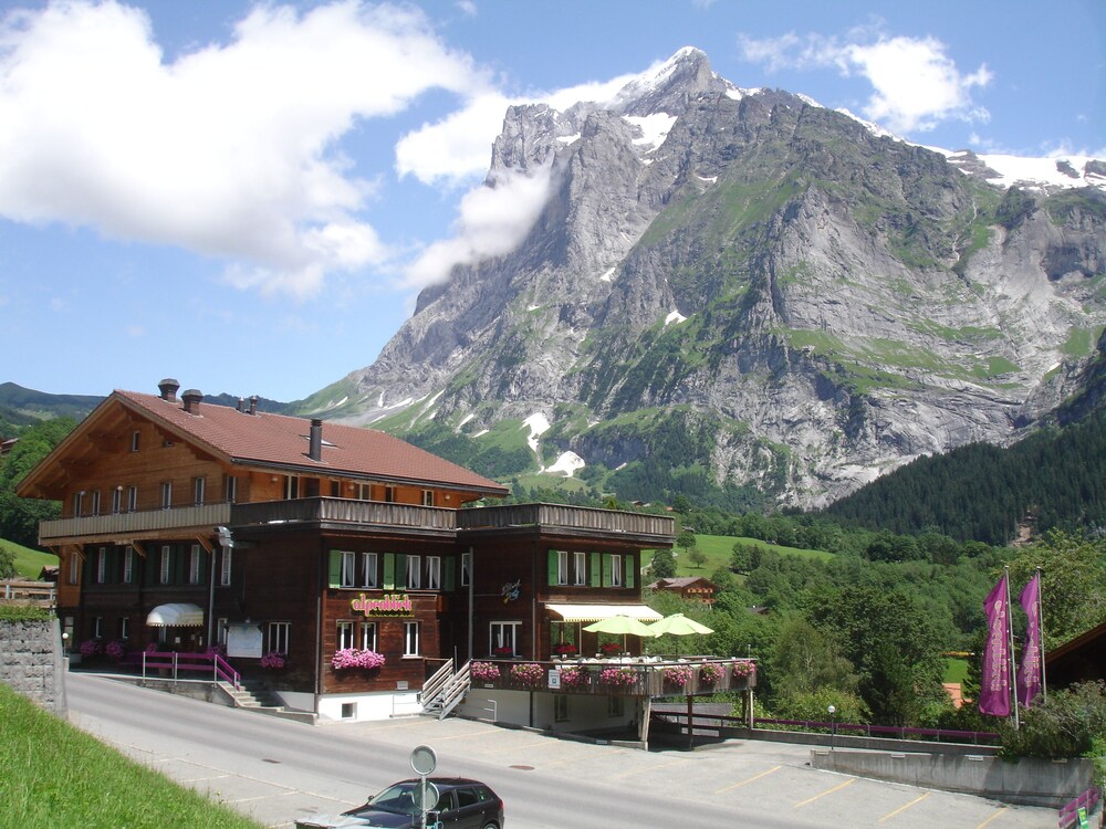 Hotel Alpenblick — hotel in Grindelwald