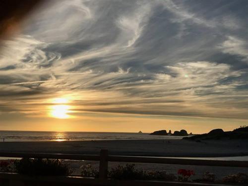 Webb's Scenic Surf - photo 16