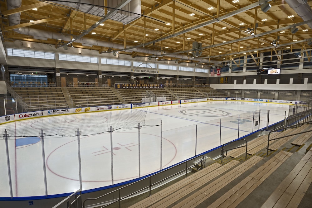 Buffalo Marriott At Lecom Harborcenter - photo 23