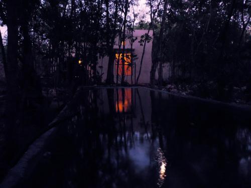 Barefoot Jungle Studios - carbon neutral hotel in Tulum