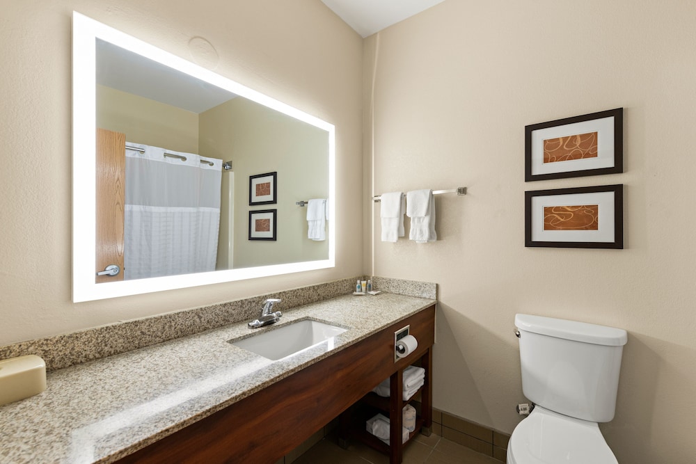 Comfort Suites Kansas City Liberty - photo 13