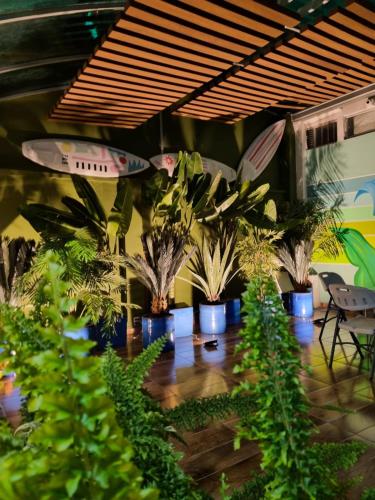 Florentina in Tunja, Colombia