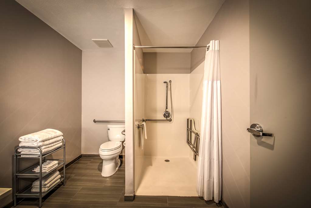 Best Western Plus Media Center Inn & Suites - photo 27