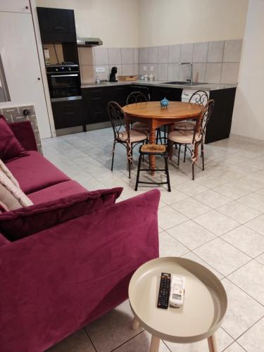 Libellule in Argelers, France