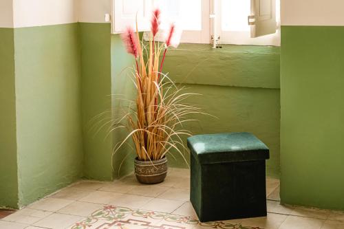 Senglea Jungle Palazzo — Senglea — photo 4