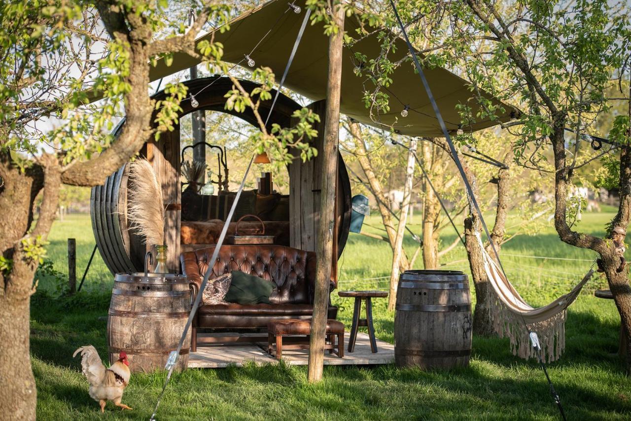 Tiny Wineyhouse 3 - carbon neutral hotel in Unknown City