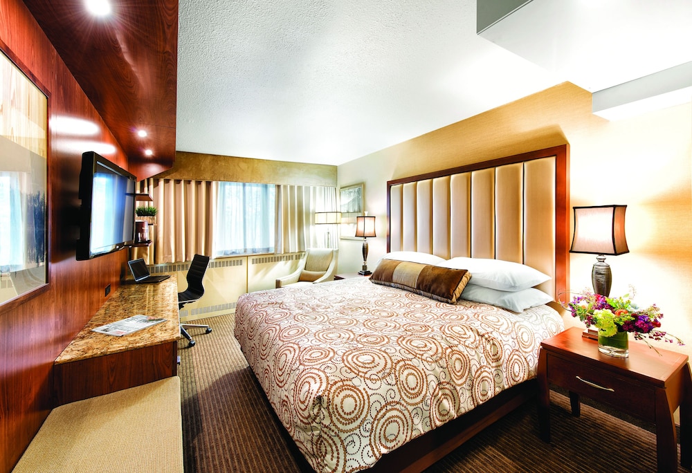 Westmark Fairbanks Hotel & Conference Center - photo 8