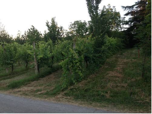 La Cavaliera — Bazzano — photo 5