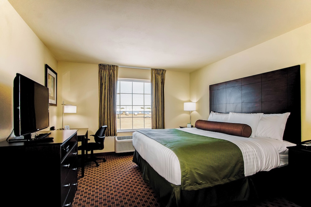 Cobblestone Inn & Suites Eads - photo 21