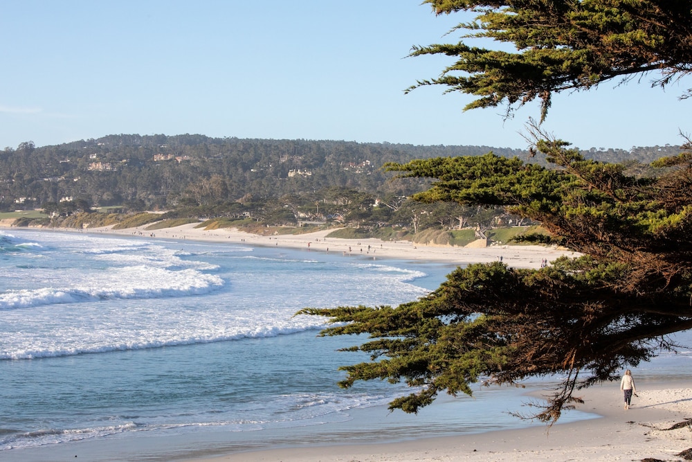 Holiday Inn Express Monterey Cannery Row by IHG - photo 48