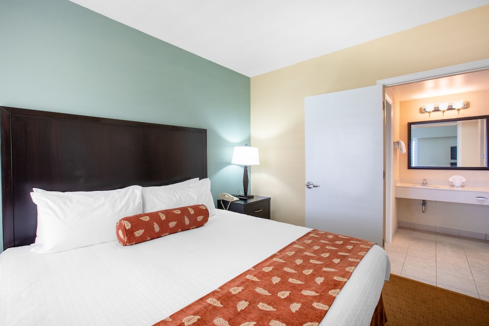 staySky Suites I Drive Orlando - photo 6