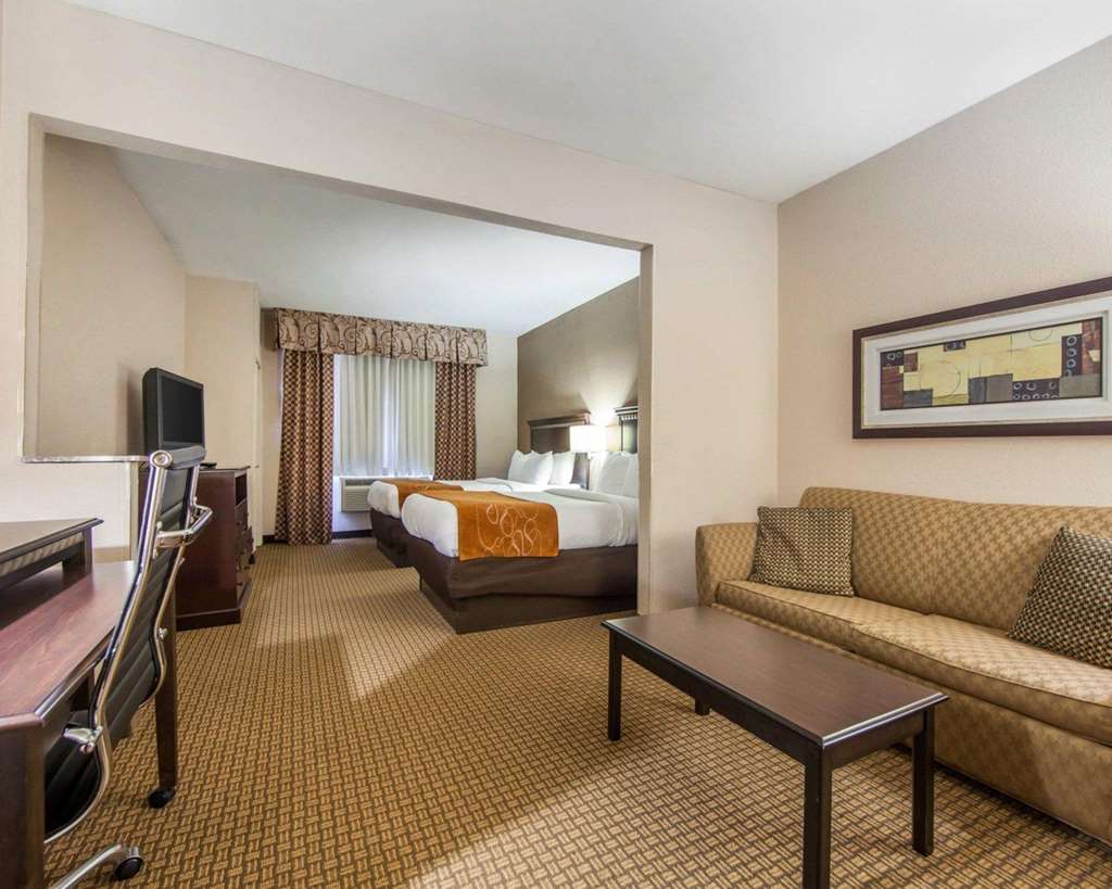 Comfort Suites London South - photo 19