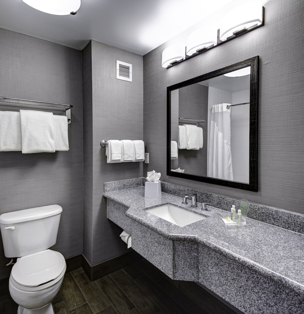 Holiday Inn Savannah Historic District by IHG - photo 17