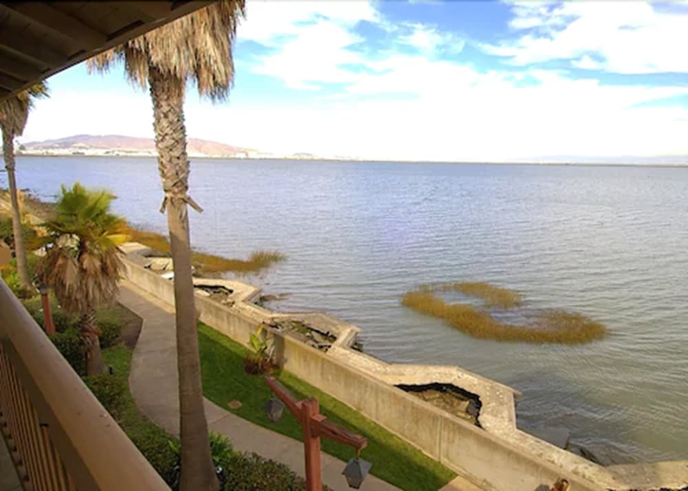 Vagabond Inn Executive San Francisco Airport - photo 44