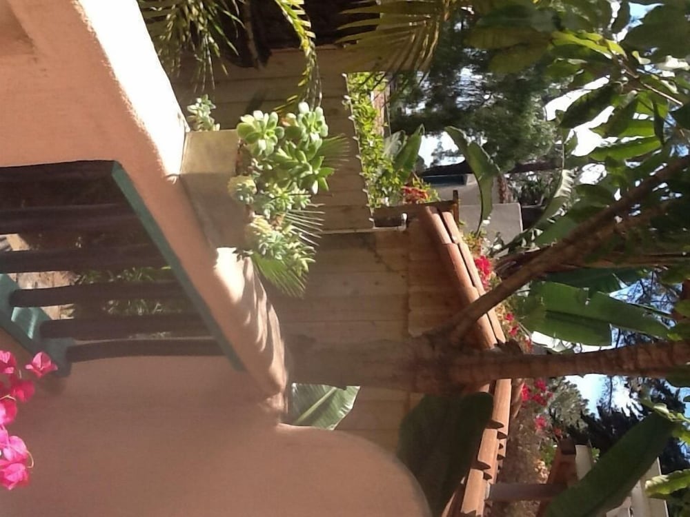 Les Artistes Inn - photo 54