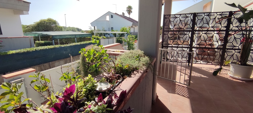 K&L Marina — Bernalda — photo 3