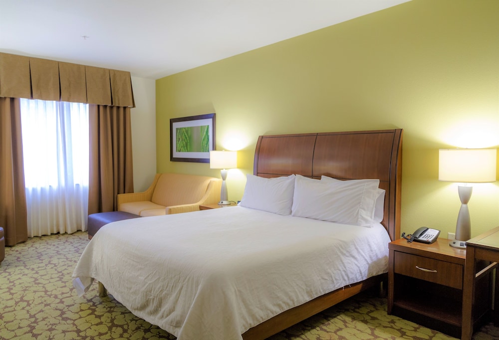 Hilton Garden Inn Rochester Downtown NY - photo 11