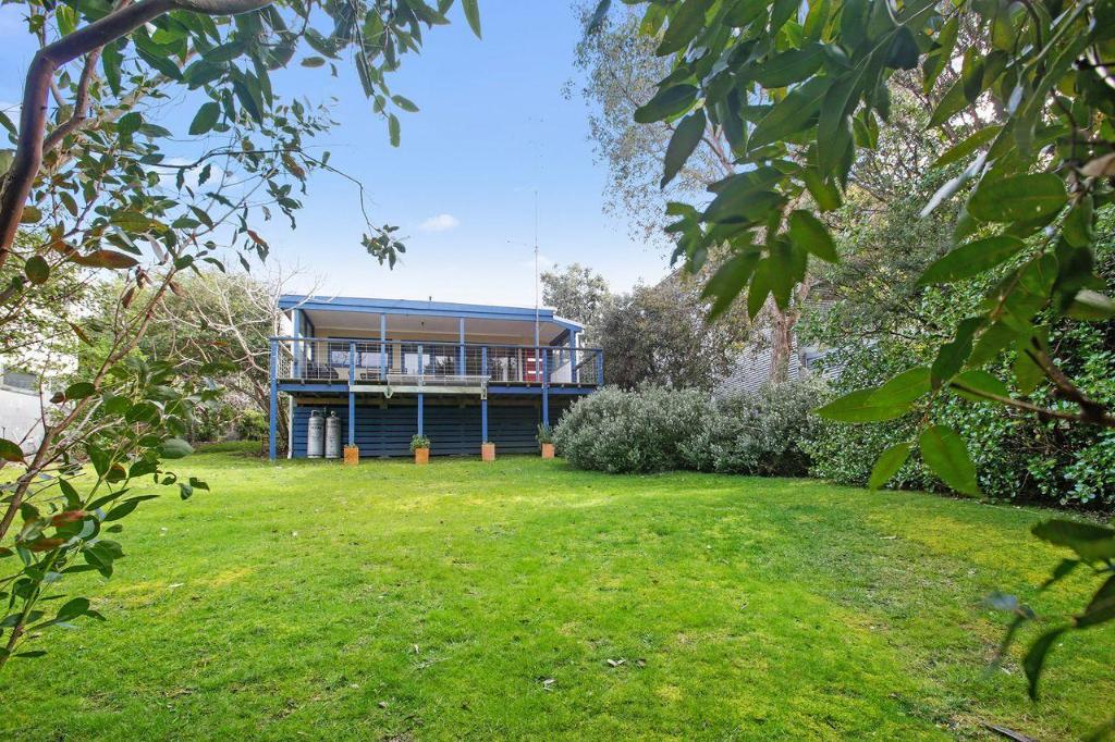 Beach Fig in Apollo Bay, Australia