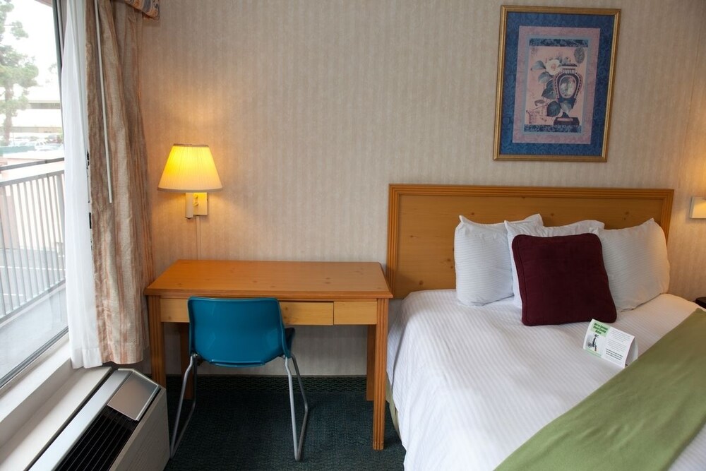 Bay Inn and Suites at Seaworld - photo 14