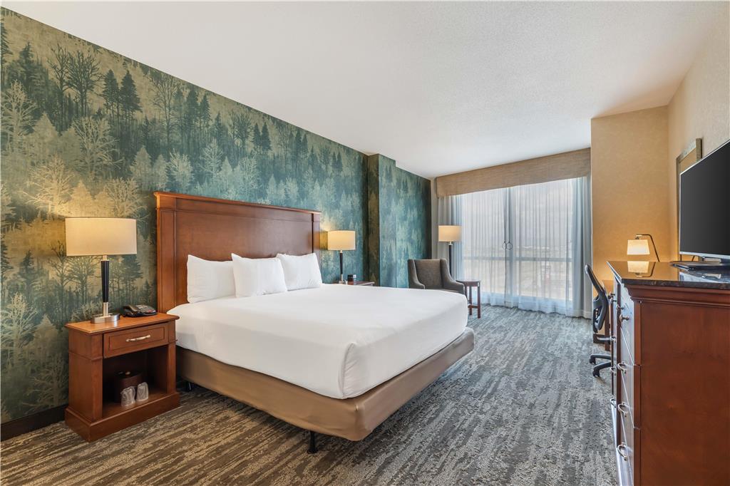 Drury Plaza Hotel Denver Central Park - photo 20