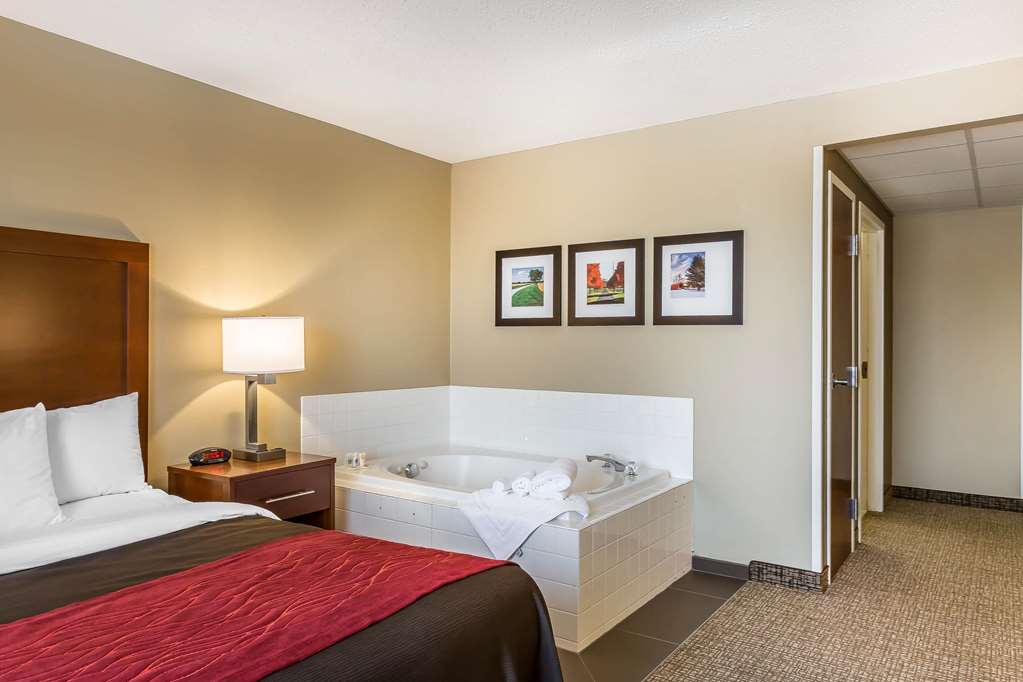 Comfort Inn Frederick Ballenger Creek - photo 20