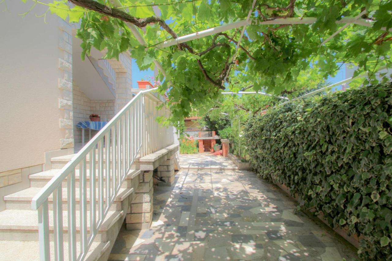 Aurelio in Novigrad, Croatia